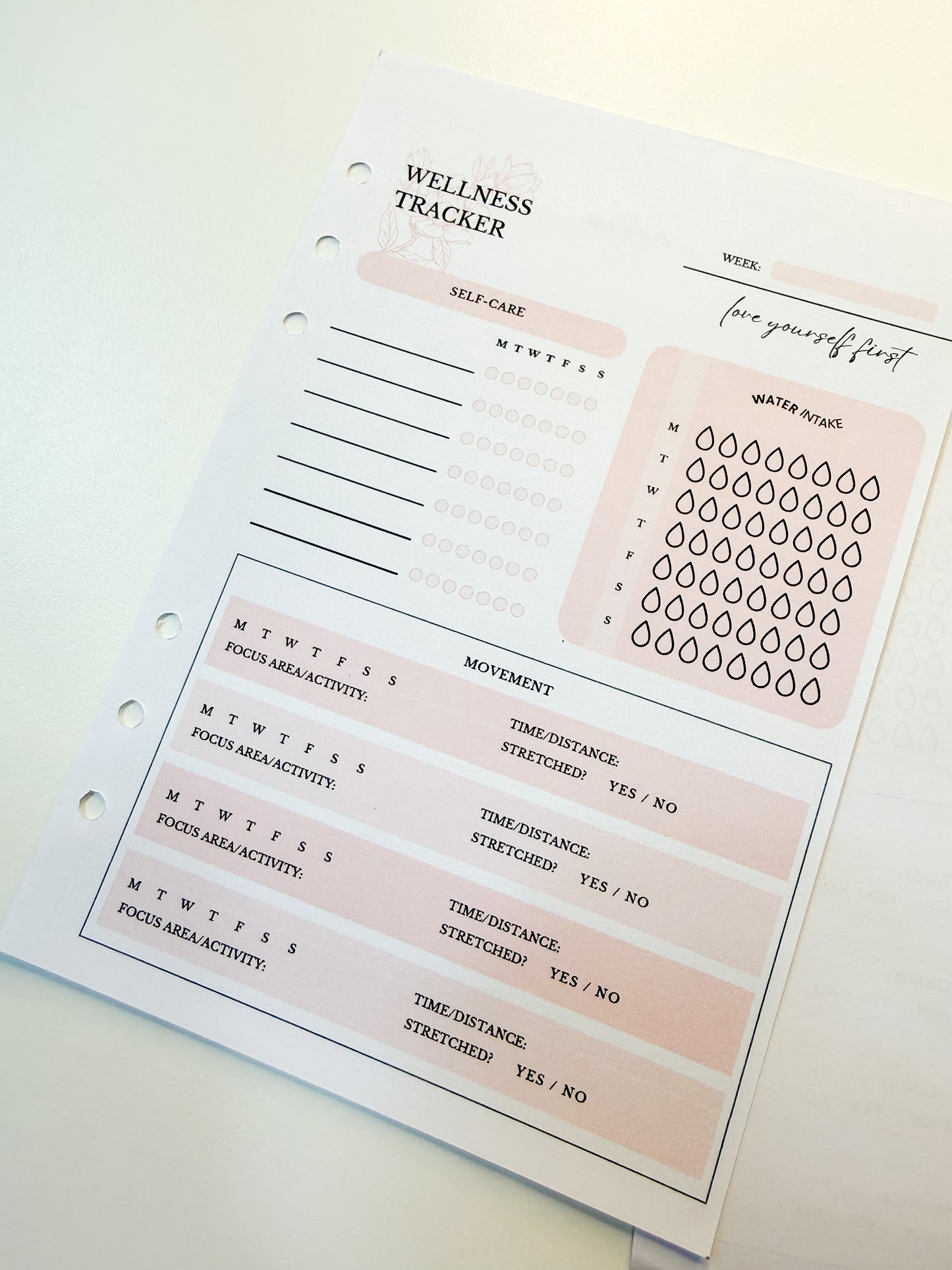 Wellness Tracker Insert Pages (Pink)